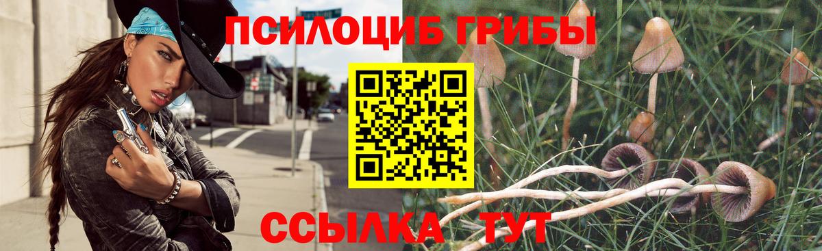 Галлюциногенные грибы Psilocybine cubensis  Вход с VPN  Великий Устюг 