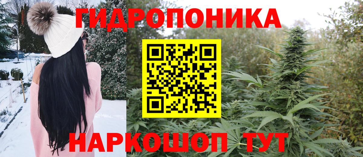 Бошки марихуана марихуана Великий Устюг